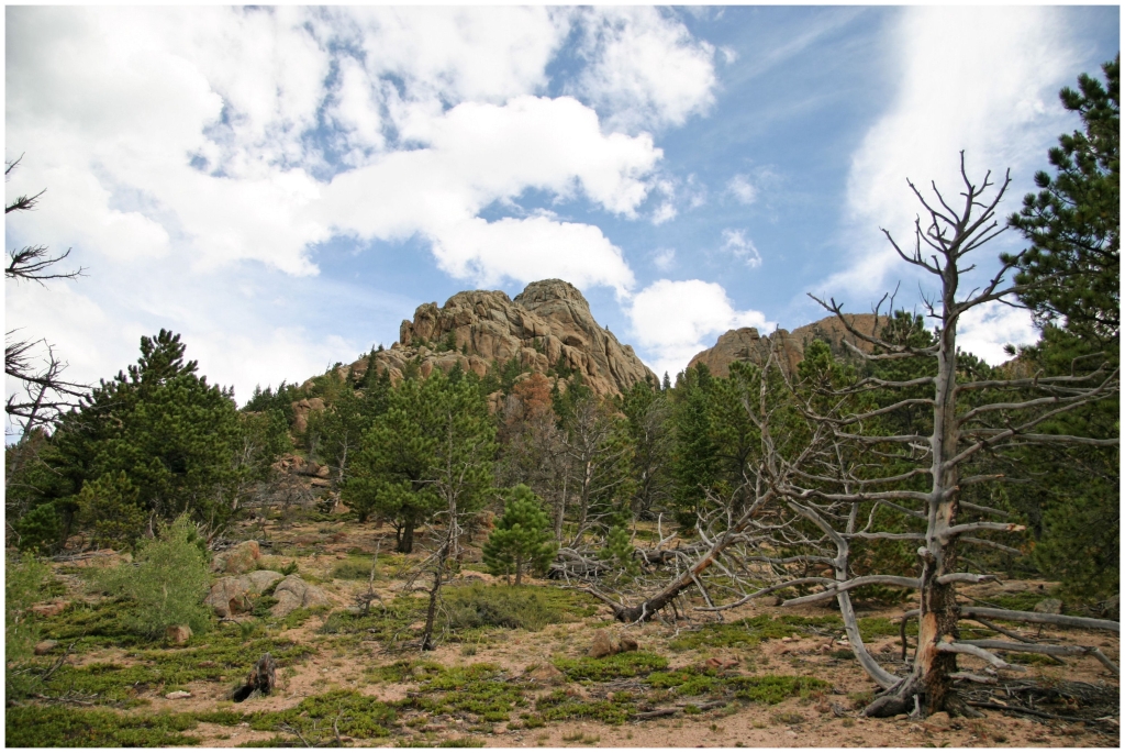 07 - Rocky Mountains NP (28).jpg